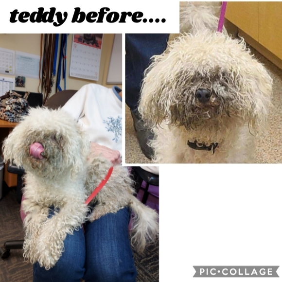 100% clean & professional environment! 😷 - Picture 2 of 5